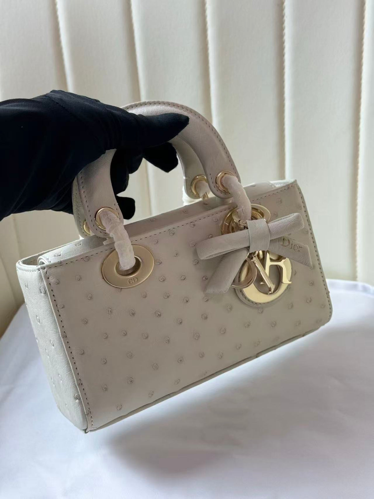 Dior 2026 Lady D-Joy Bag 19cm Ostrich Leather