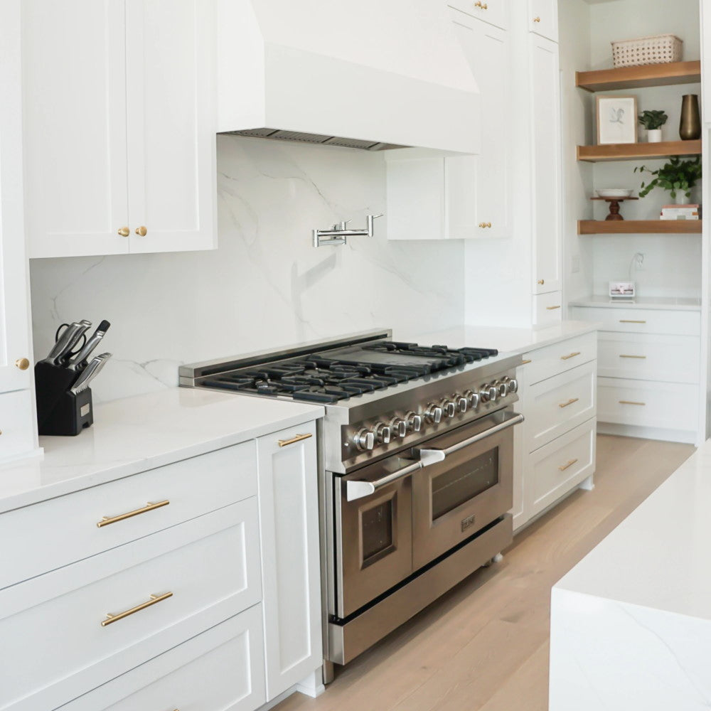ZLINE 48" Professional Dual Fuel Range in Stainless Steel with Color Door Options (RA48)