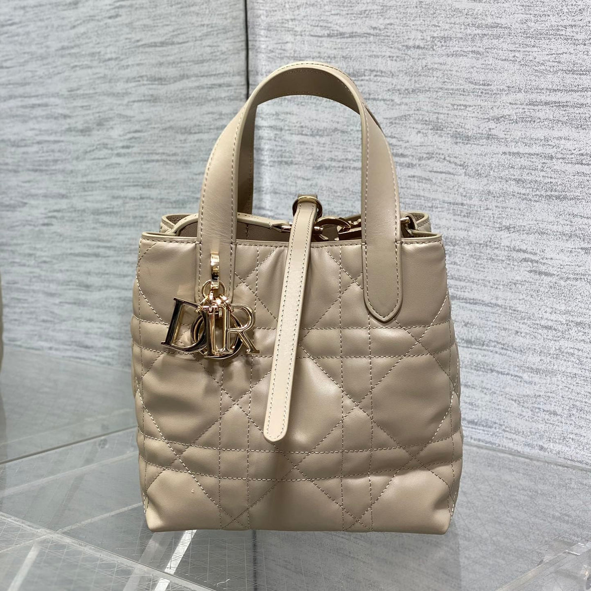Dior 2026 Toujours Vertical Tote Bag 16cm Leather 406609