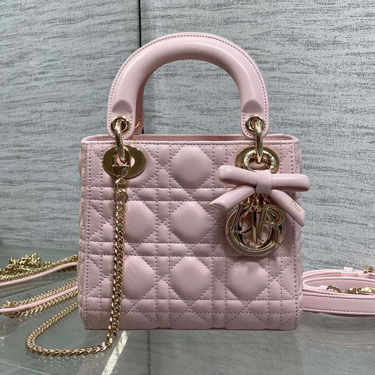 New Dior Bag 2026