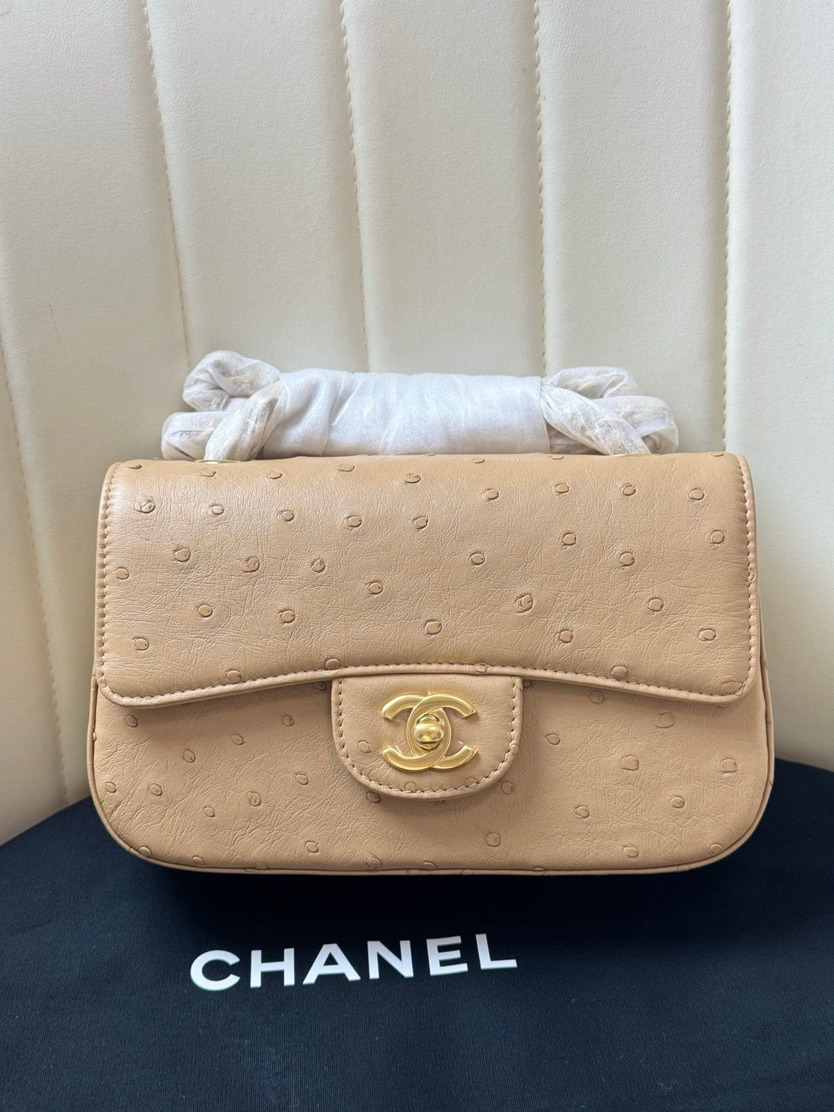 Chanel 2026 Flap Ostrich Embossed Bag 20cm Leather