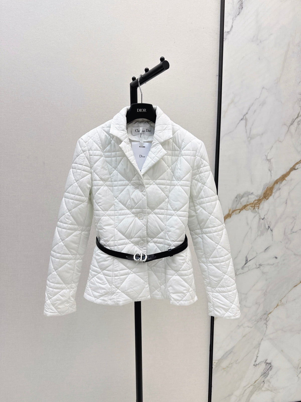 Dior 2026 Cannage Quilted Jacket Down Nylon 773944
