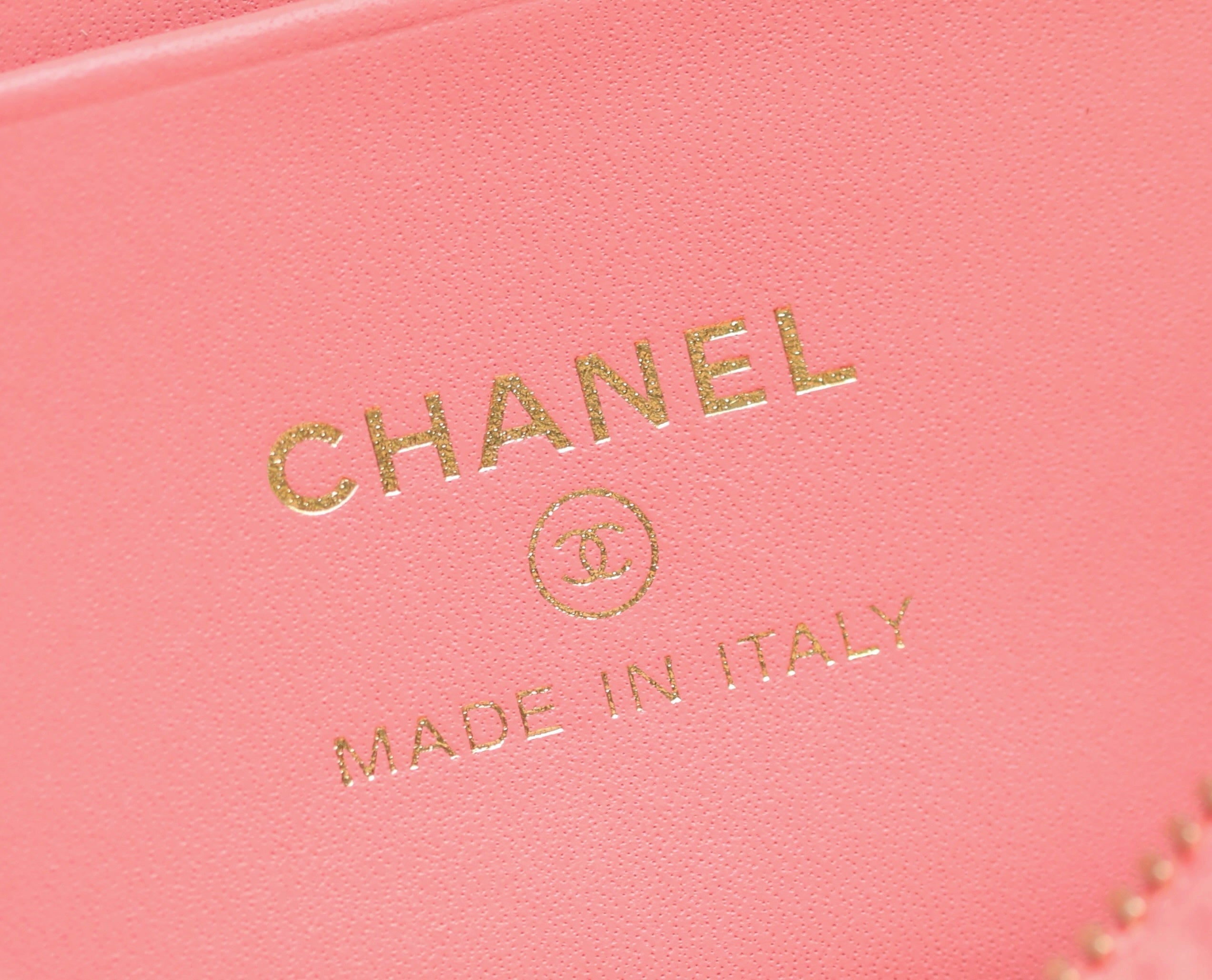 CC 2025 Vanity Bag 19.5cm Coral Pink Caviar Leather