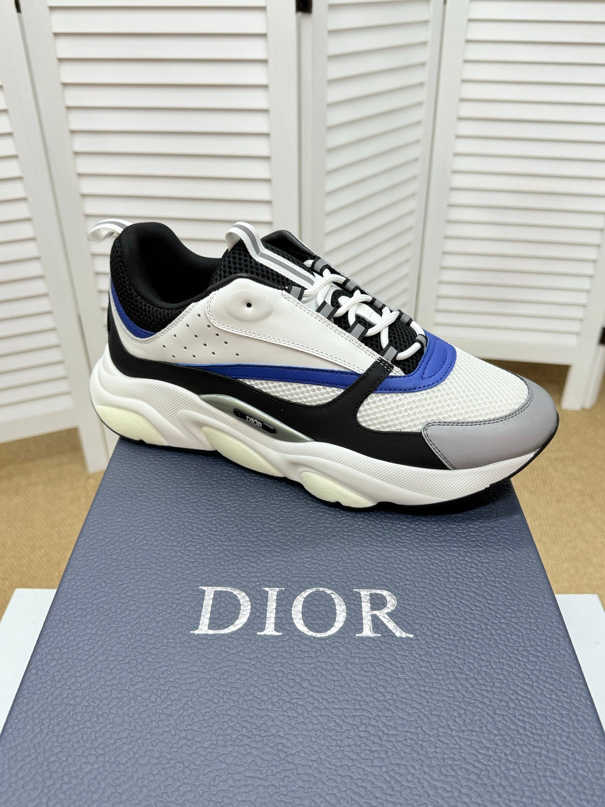 CD B22 Sneaker White-black Mesh Calfskin 648066