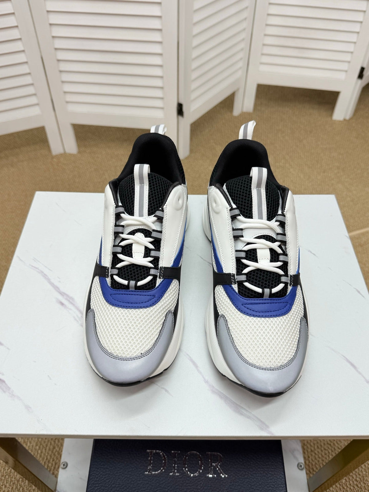 CD B22 Sneaker White-black Mesh Calfskin 648066