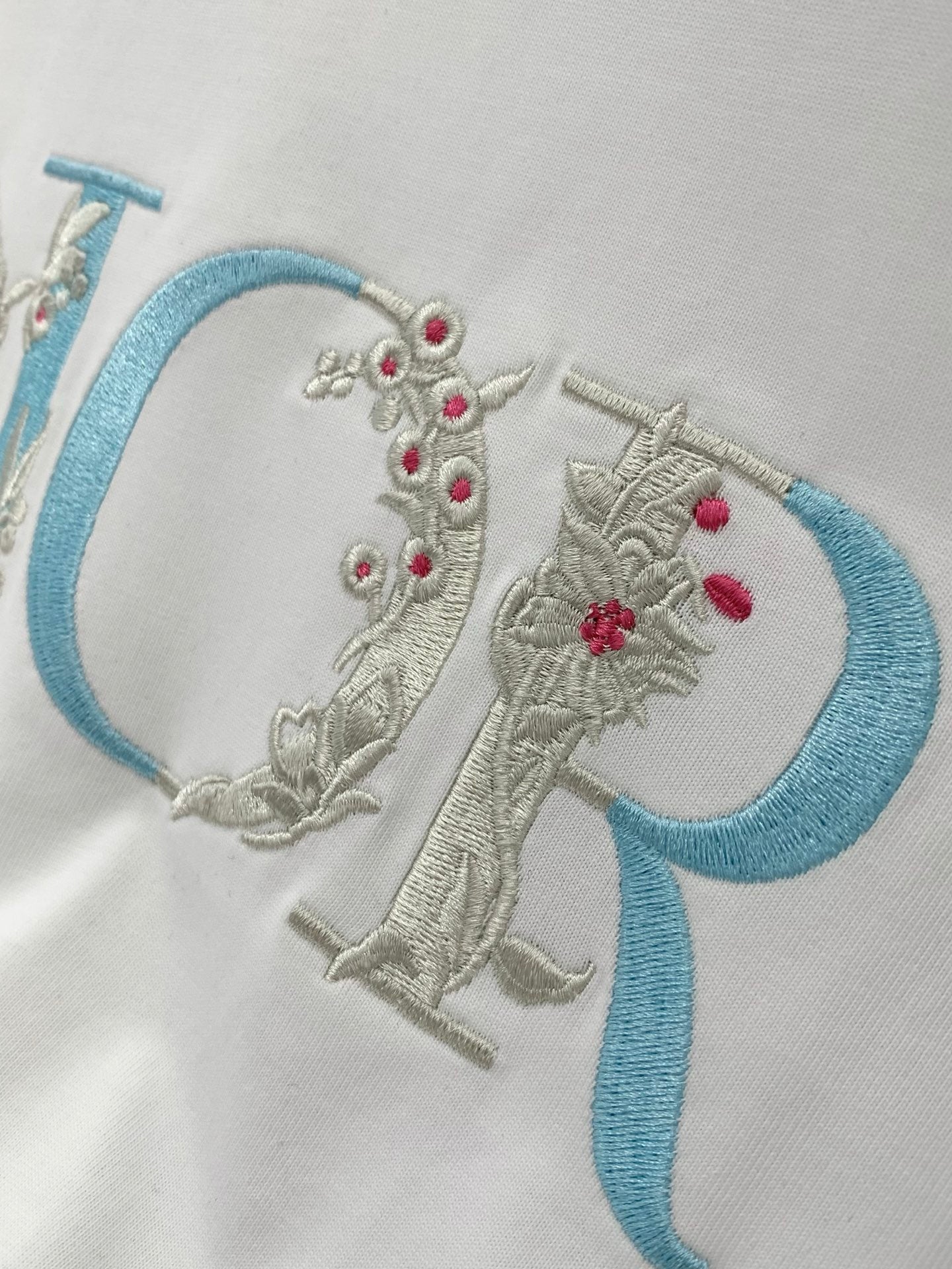 Dior 2026 Shirt Cotton 628218