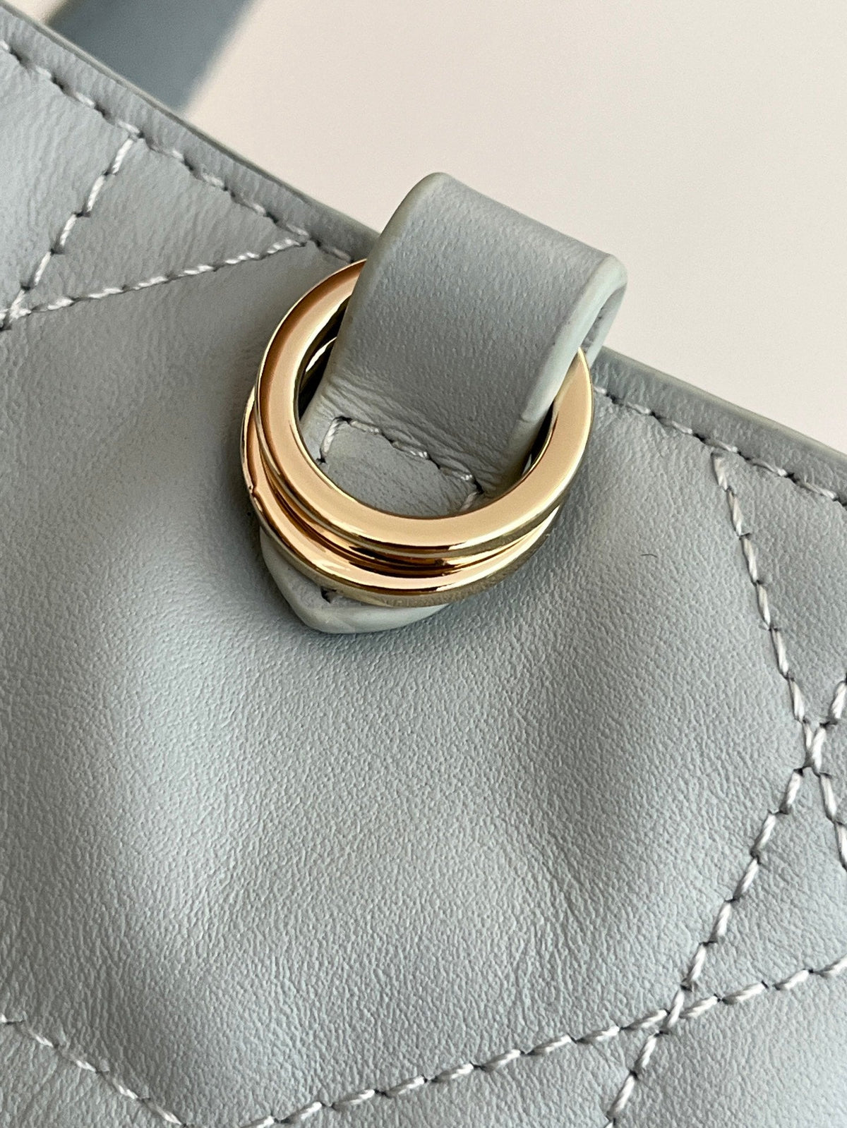 Dior 2026 Toujours Vertical Tote Bag 16cm Leather 406609