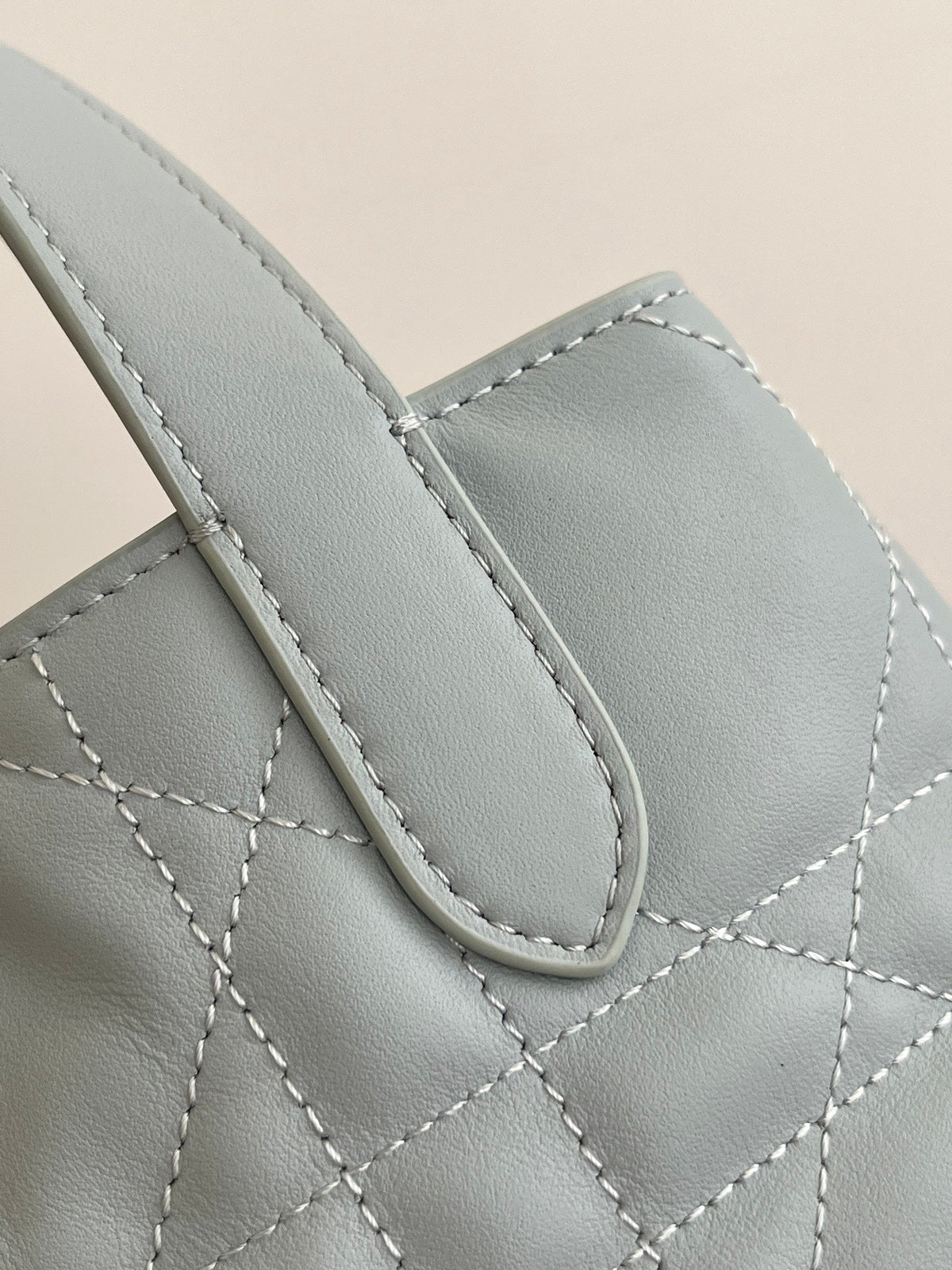Dior 2026 Toujours Vertical Tote Bag 16cm Leather 406609